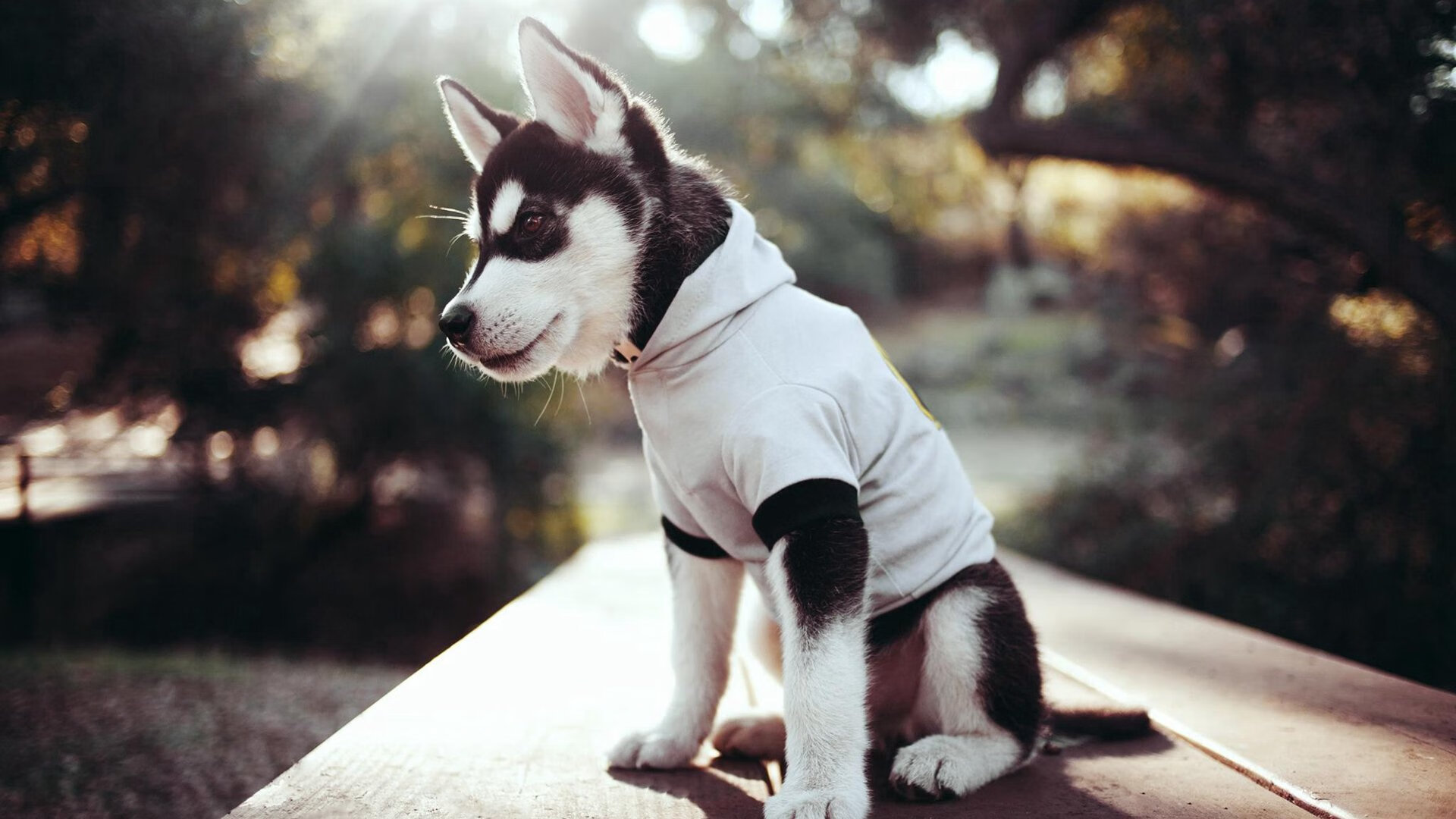 PSG球队氛围调整成未来关键,psg是哪支球队