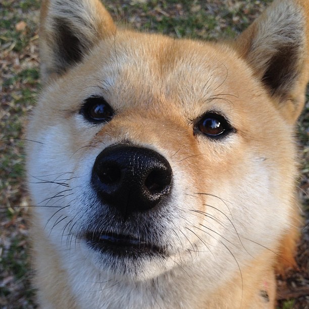 中国三人篮球男队强化快攻训练 提升比赛节奏，男子三人篮球中国队队员