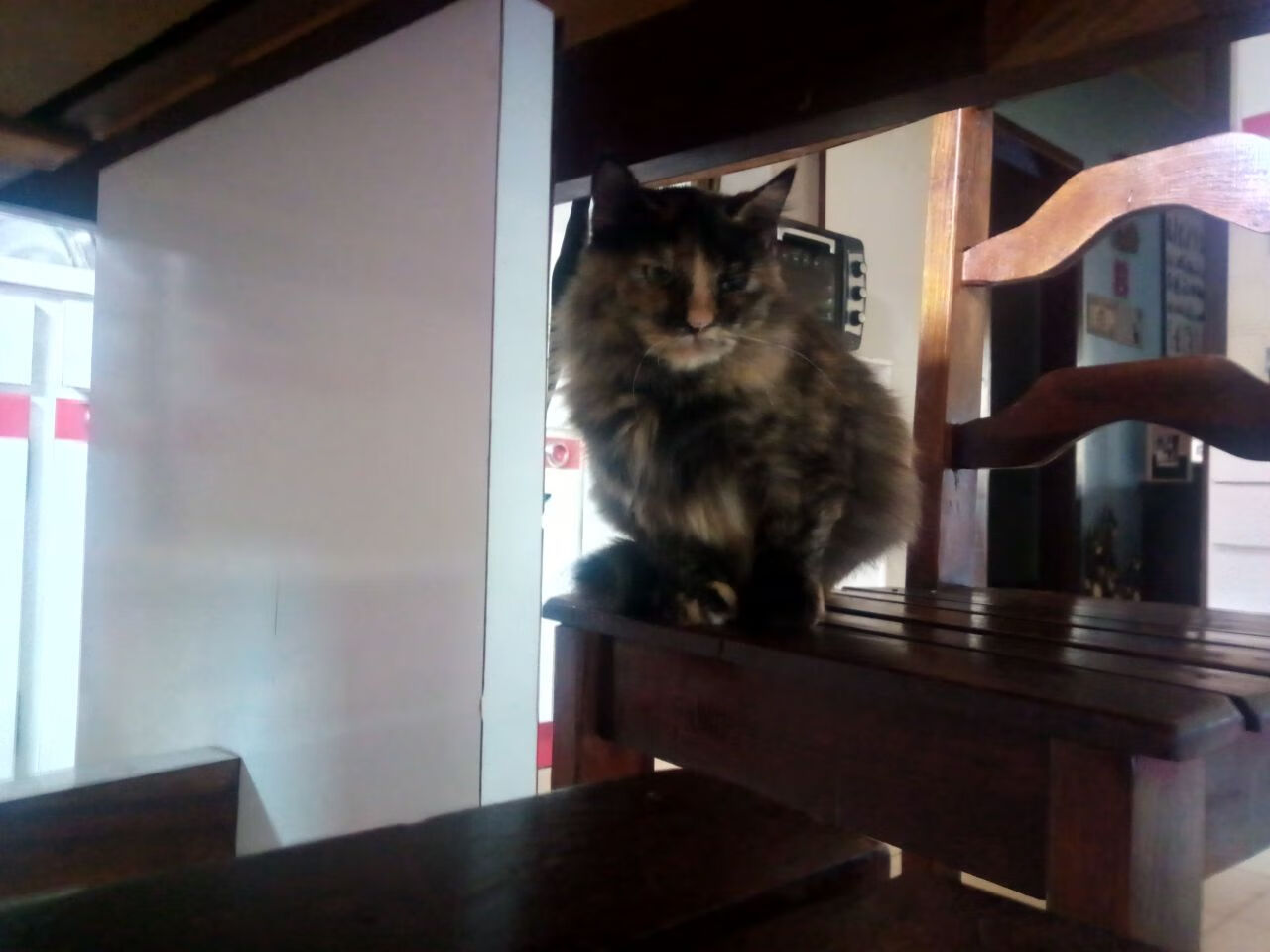 五大联赛关键球员缺阵对战术体系的冲击，五大联赛关键球员缺阵对战术体系的冲击有哪些