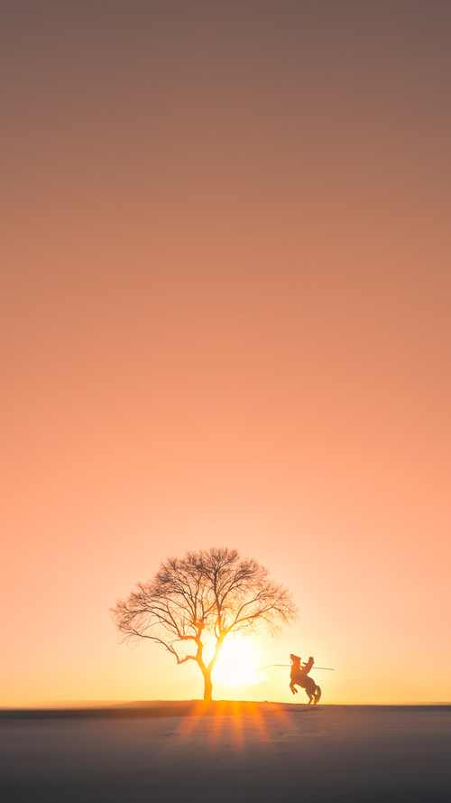 开云体育网页入口-曼城控球体系全面压制中下游球队，曼城的打法