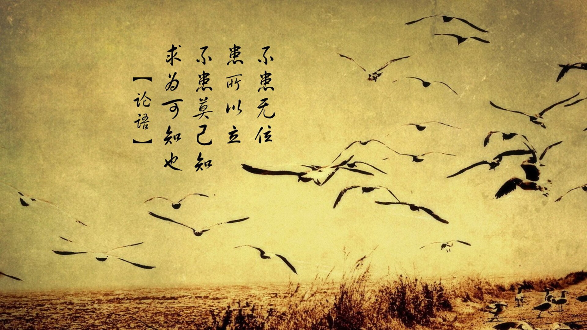 开云体育中国官网-中国篮球推动数字球探系统拓宽人才发现渠道，最详细的篮球数据网站