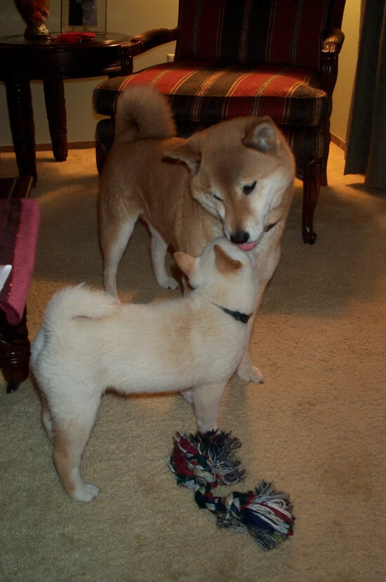 开云体育中国官网-体育纪录片热播带动全民运动热情，体育 纪录片