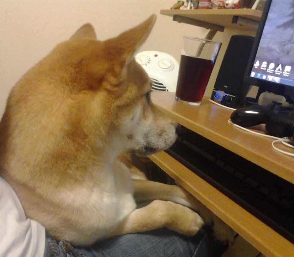 卢森堡男篮在欧洲预赛中奋勇向前,追逐奥运梦想